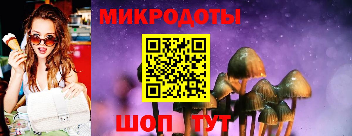 Псилоцибиновые грибы Psilocybine cubensis  Вход с VPN  Октябрьский 